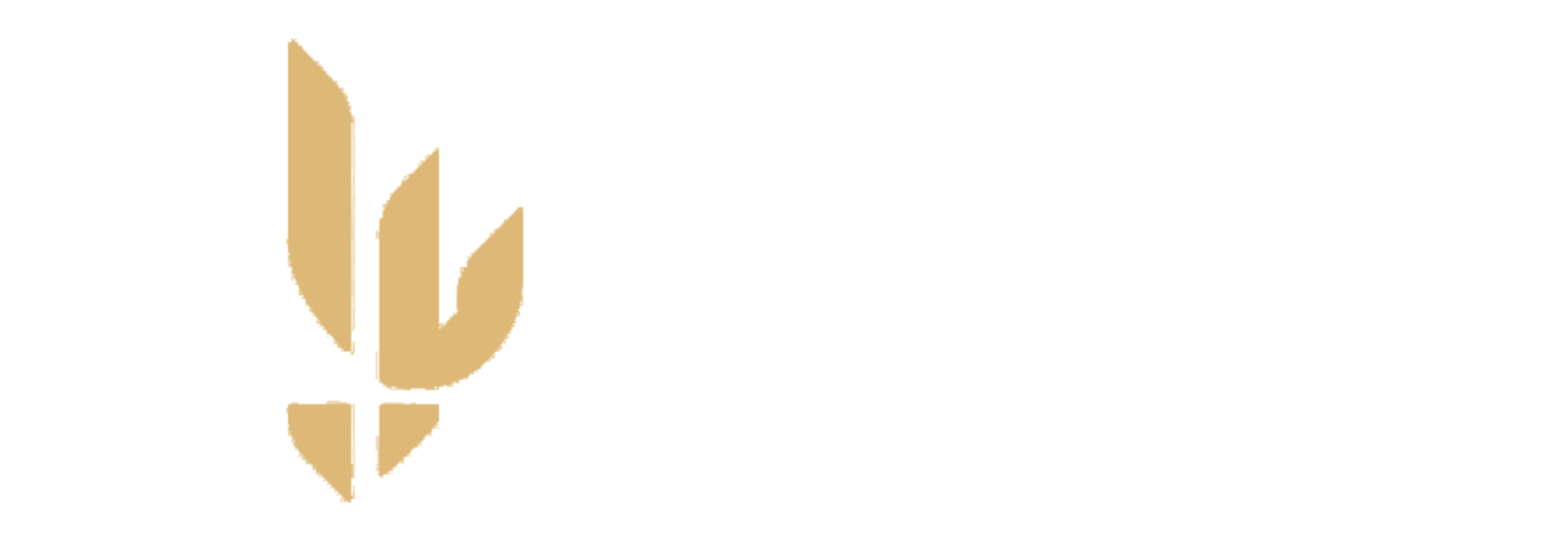 Baystreet Partners